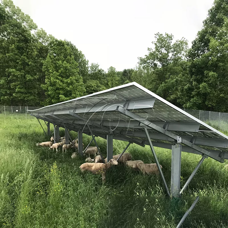 Saulės baterijos ūkiui: padėkite žemės ūkio energijos tvarumui pasiekti aukštesnį lygį!